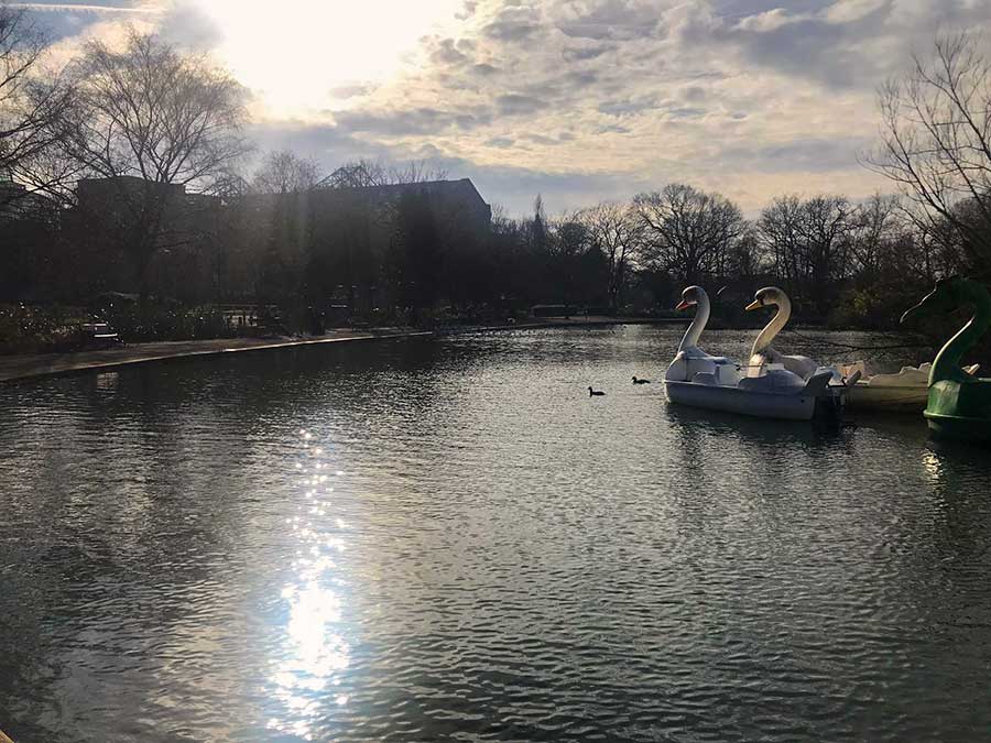 Sunny skies shining over a glittering lake, with two swan-shaped boats and trees in the background